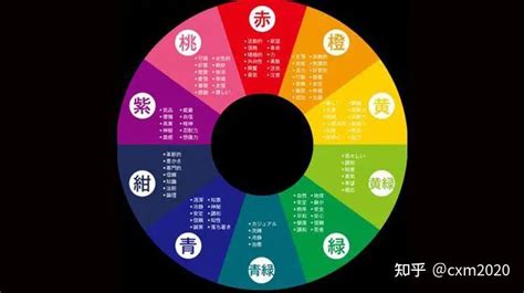 淺紫色五行